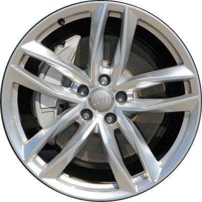 S/B Dutch Silver