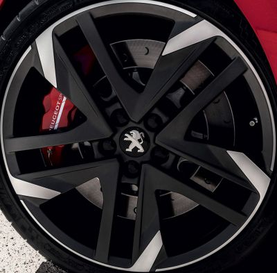 W/B Peugeot Speedline Graphite 